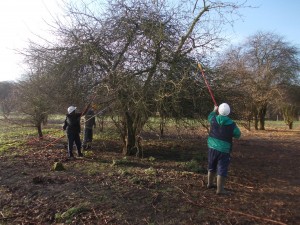 Er, how do I hold this? LWT volunteers trying out pole saws for the very first time