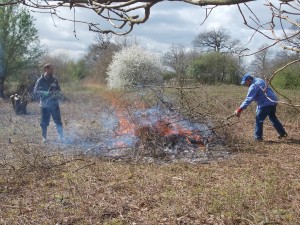 Burning Brash at Ten Acre Wood