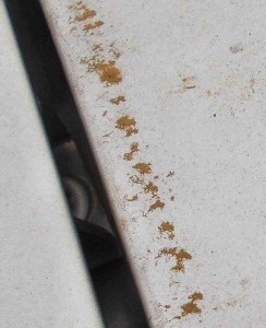 Desert Dust on Car