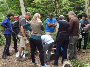 Woodland bug hunt - slugs, centipedes