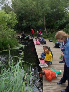 Pond Dipping on Frog Day
