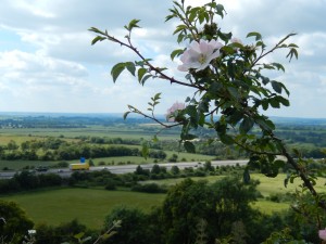 Aston Rowant: view over the Oxford Clay plain... and the M40