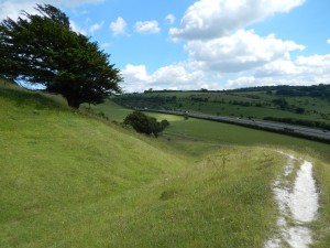 Ancient Trackway, Modern Motorway: what are we conserving?