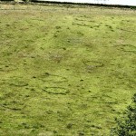 Large Fairy Rings in old permanent pasture on chalk, now lost