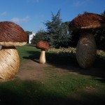 Giant Wickerwork Cepes ('Boletus edulis')