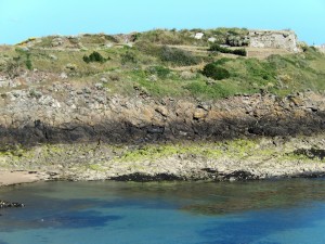 Coastal vegetation zones at St Malo: from top: grassland with gorse; the orange sea lichen Caloplaca marina; the black tar lichen Verrucaria maura; green algae; (dark) brown algae.