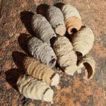 Dark Potter Wasp pots