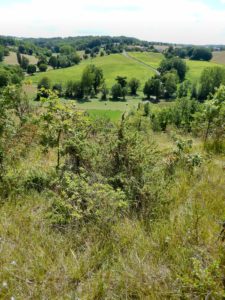 St Sulpice Juniper scrub-chalk grass arable hilltop hamlets distant oak-chestnut forest