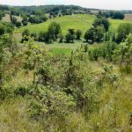 St Sulpice Juniper scrub-chalk grass arable hilltop hamlets distant oak-chestnut forest