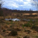  Chobham Common