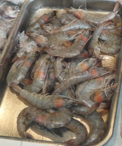 King Prawns