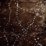 2.3 Snail Tracks. Ian Alexander