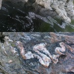 3.18 Eddies at Randolph's Leap (top: Findhorn River; bottom: veins in rock). Ian Alexander