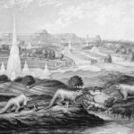 3.3 Crystal Palace Dinosaurs. George Baxter, 1854