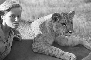 Joy Adamson, played by Virginia McKenna in Born Free, 1966