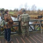 Birders at the London Wetland Centre