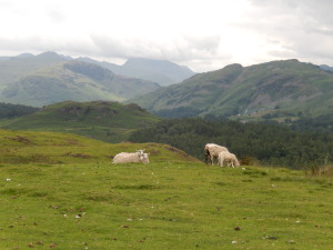The Langdale fells, beloved of Alfred Wainwright and William Wordsworth