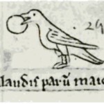 Matthew Paris 1251 sketch of Crossbill eating fruit