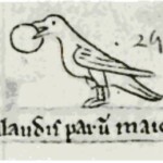 Matthew Paris's 1251 Crossbill