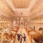 The Hunterian Museum by T.H. Shepherd, c.1842