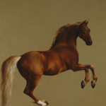 Whistlejacket. George Stubbs, 1762