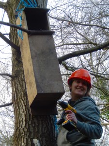 Netty fixing enormous Owl Box