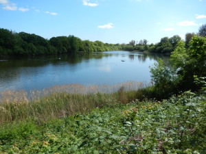 Leg of Mutton Nature Reserve