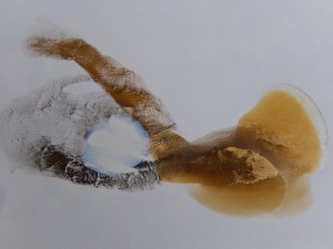 A work in progress (evaporating - there are reflections from the liquid in the white central area)