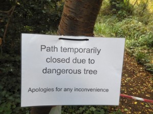 Path temporarily closed due to dangerous tree