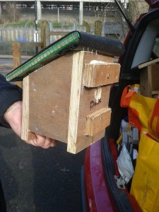 Mammal nestbox: Yes, the hole is meant to be on the back