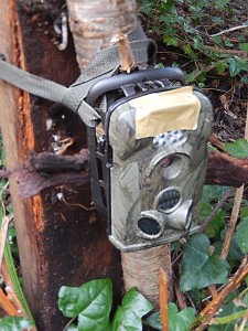 Camera trap in position