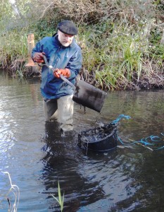 Desilting the pond