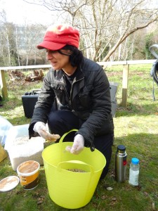 Huma mixing bait (photo Joanne from Grow Chiswick)
