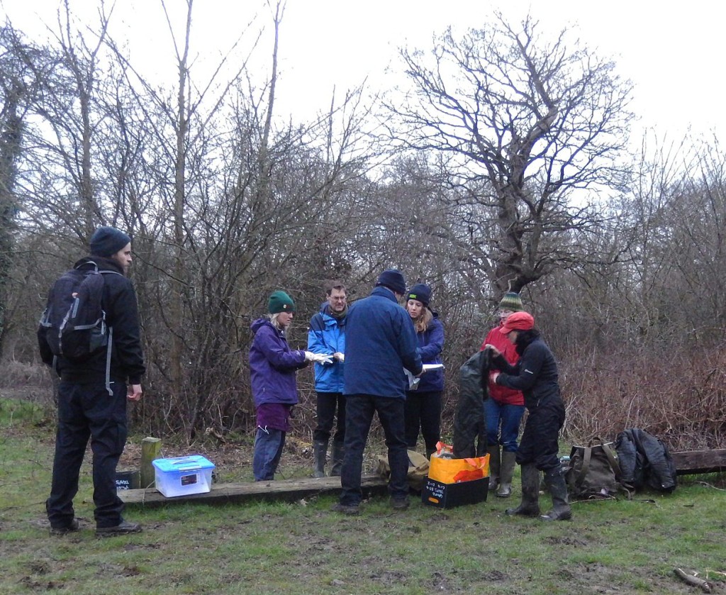 Vole Patrol, Perivale Wood, dawn