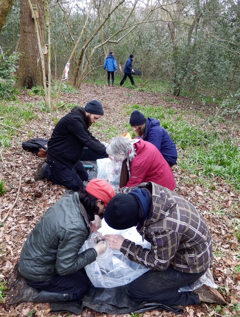 Vole Patrol in Perivale Wood