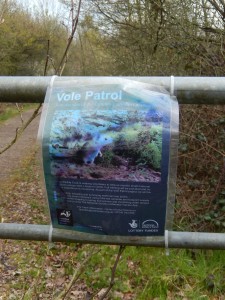 and a Vole Patrol poster
