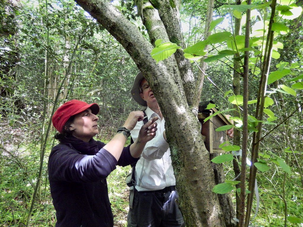 Huma and John on Vole Patrol with Mammal Nest Box Perivale Wood