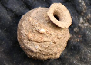 The elegant nest pot of the Potter Wasp Eumenes pedunculatus