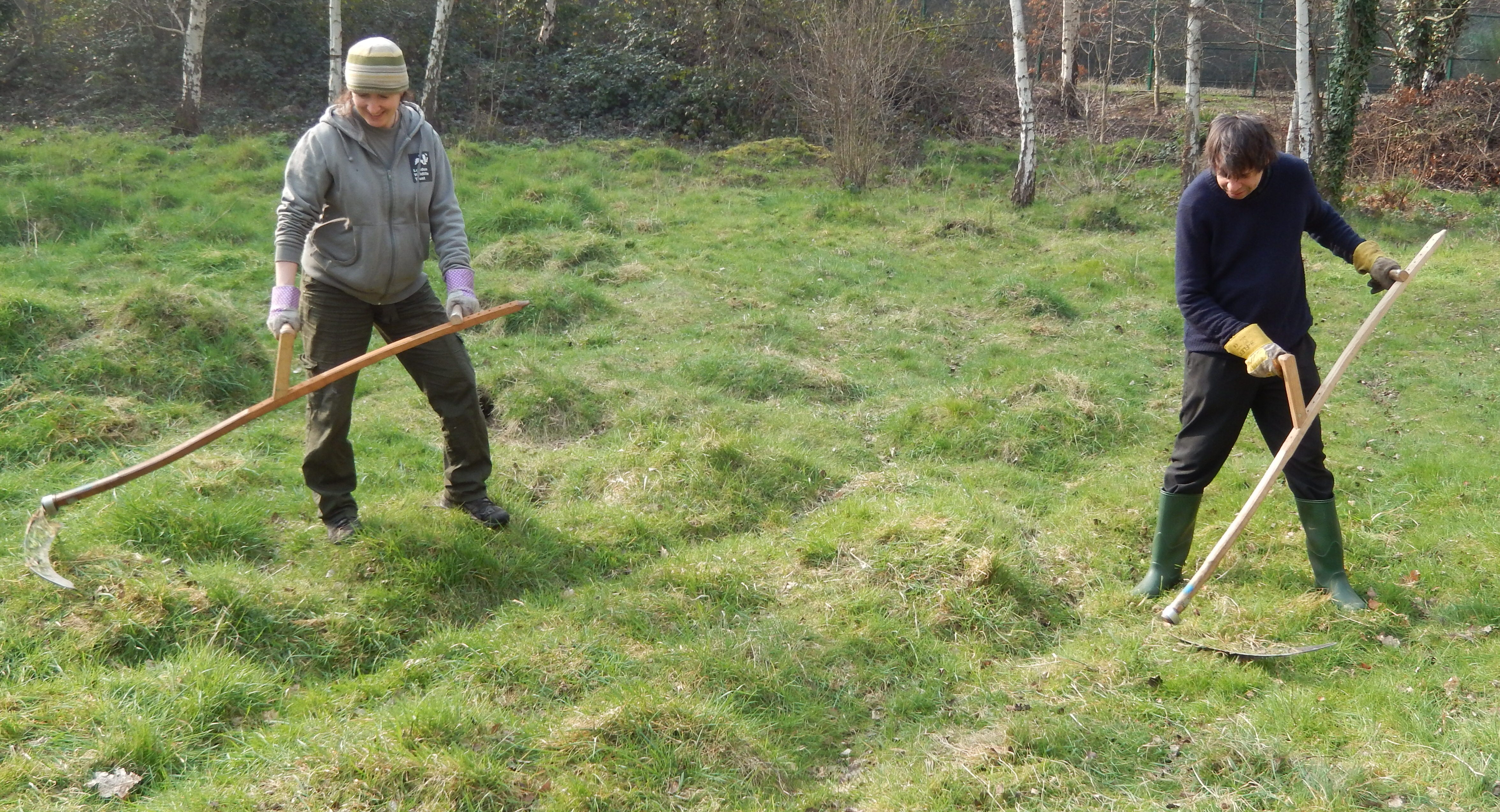 Scything the Anthill Meadow, Gunnersbury Triangle | ObsessedByNature